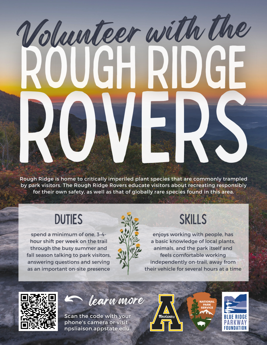 Volunteer with the Rough Ridge Rovers!